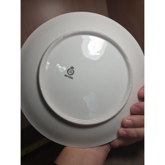 Vintage PM Moschendorf Decorative Porcelain Plate, Handpainted, Gold Trim &... - Picture 6 of 6